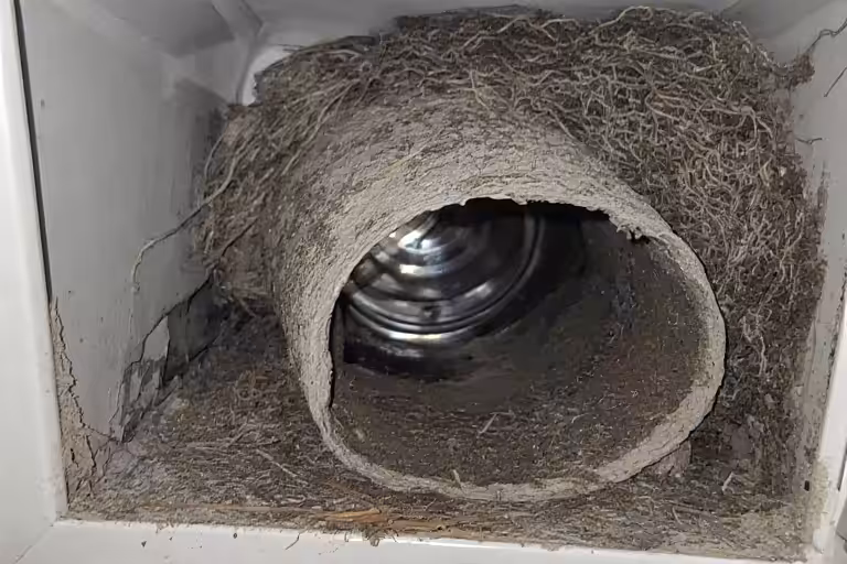 Dryer Vent Cleaning landscape
