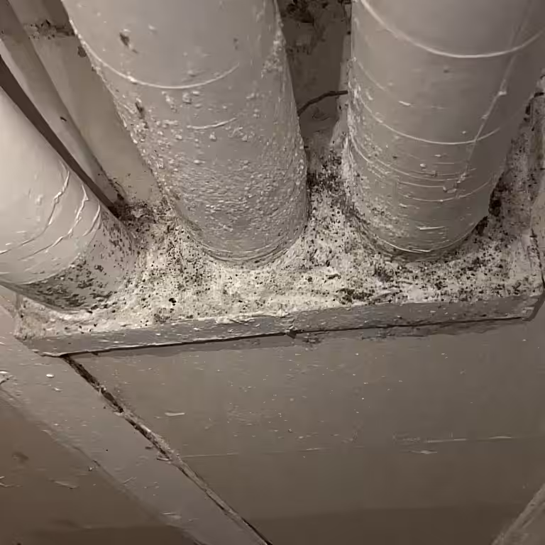Dryer Vent Cleaning square 2