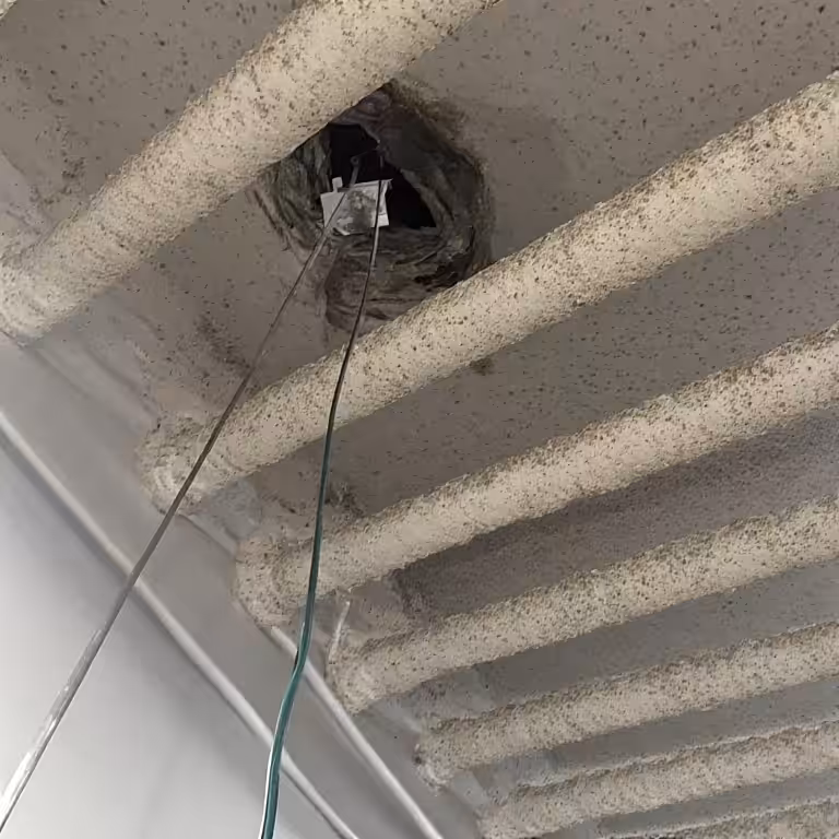 Dryer Vent Cleaning square